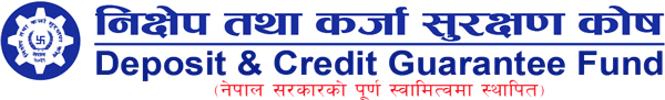 Deposit and Credit Guarantee Fund